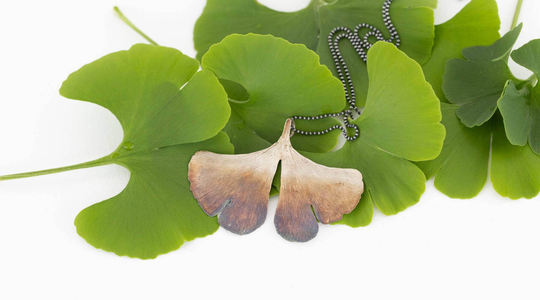 Warum das Ginkgoblatt ein Glücksbringer ist