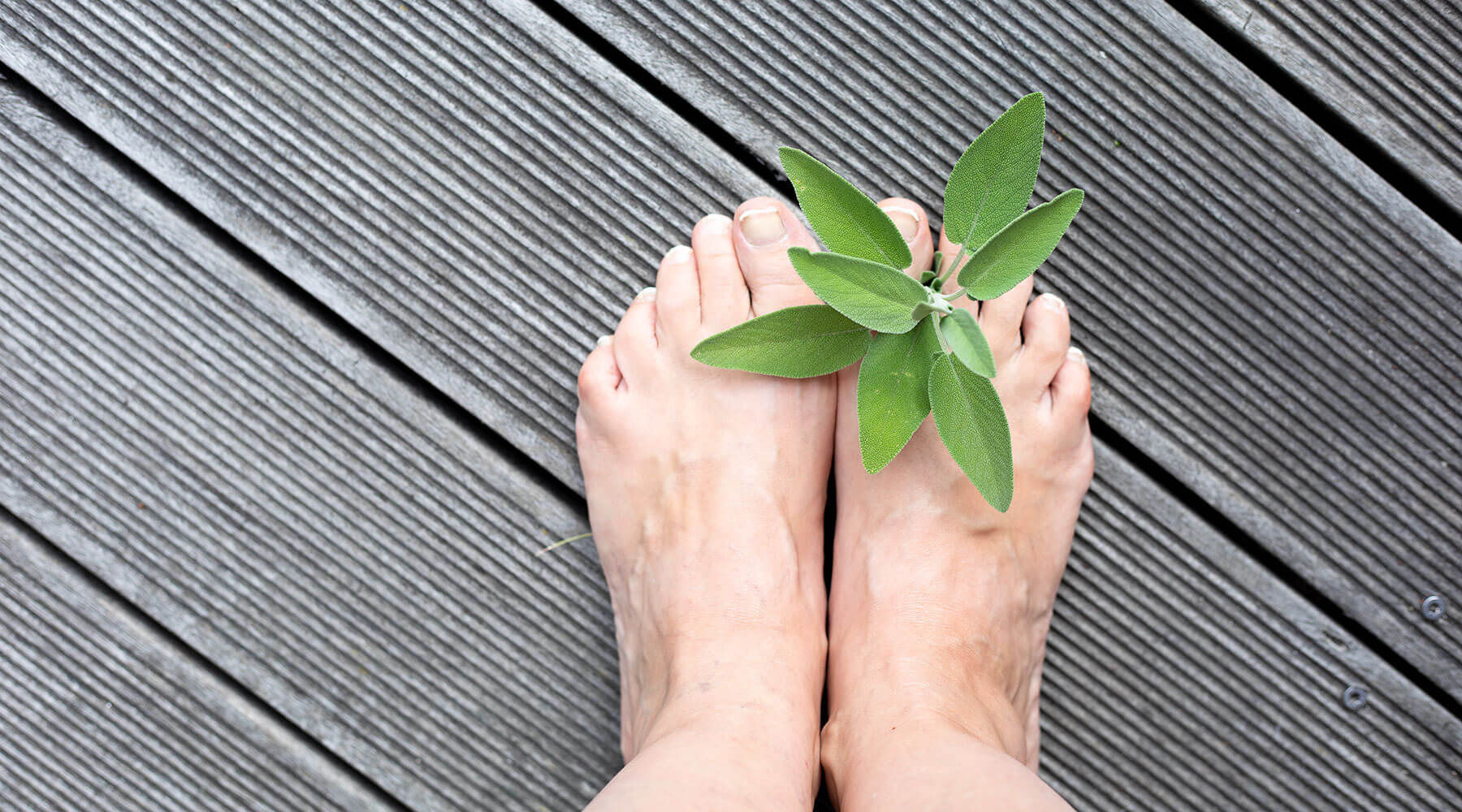 Ich steh auf Salbei – 3 Tipps für heiße Tage und Schweißfüße