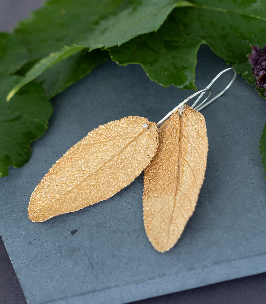 Salbeiblatt Ohrhänger Bronze