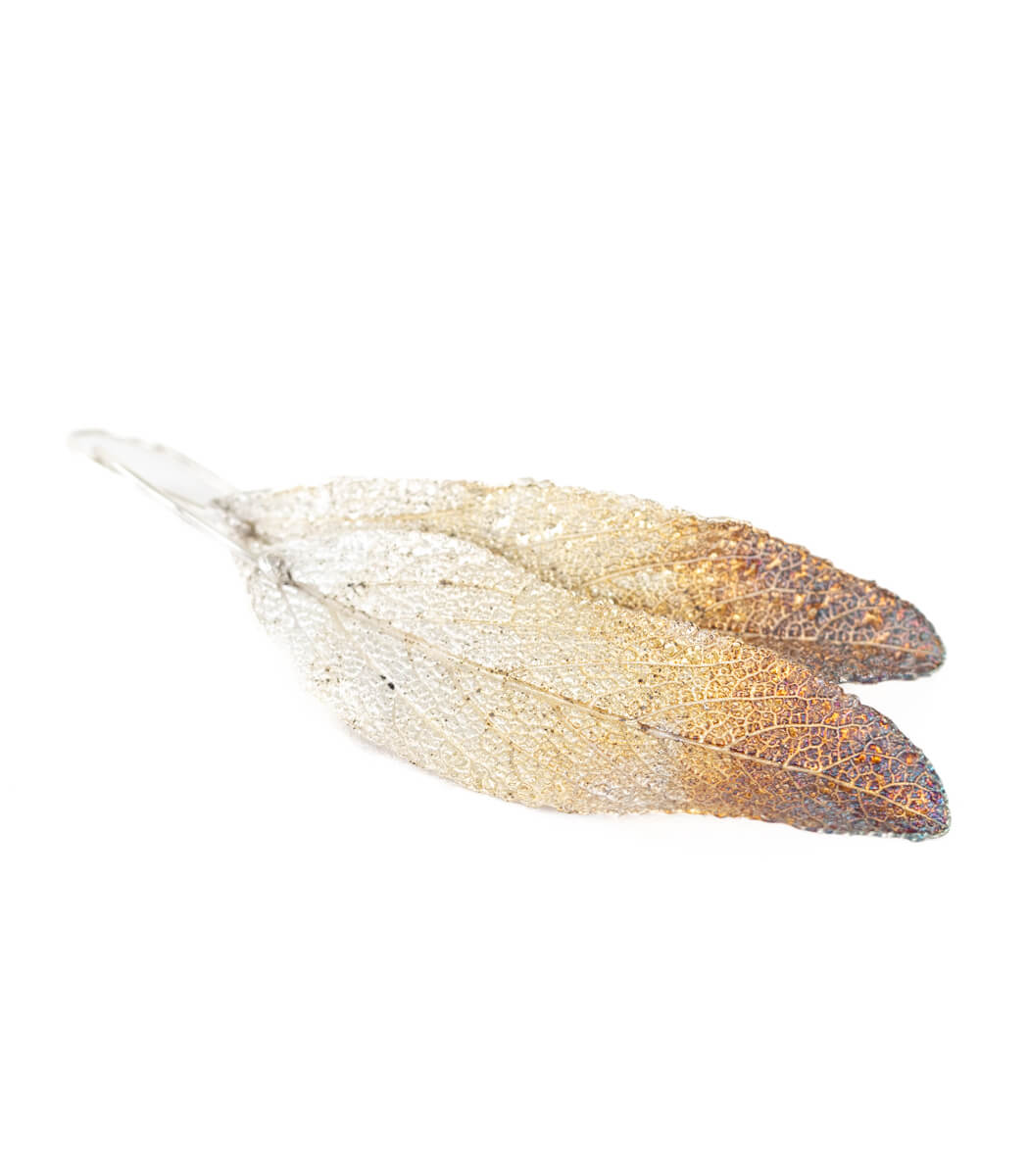 Salbeiblatt Ohrhänger Silber