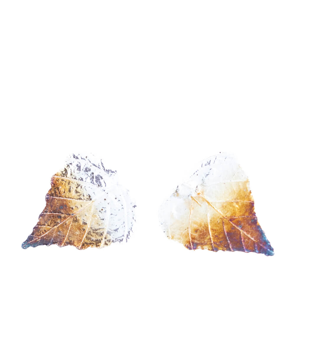 Birke Ohrstecker Silber