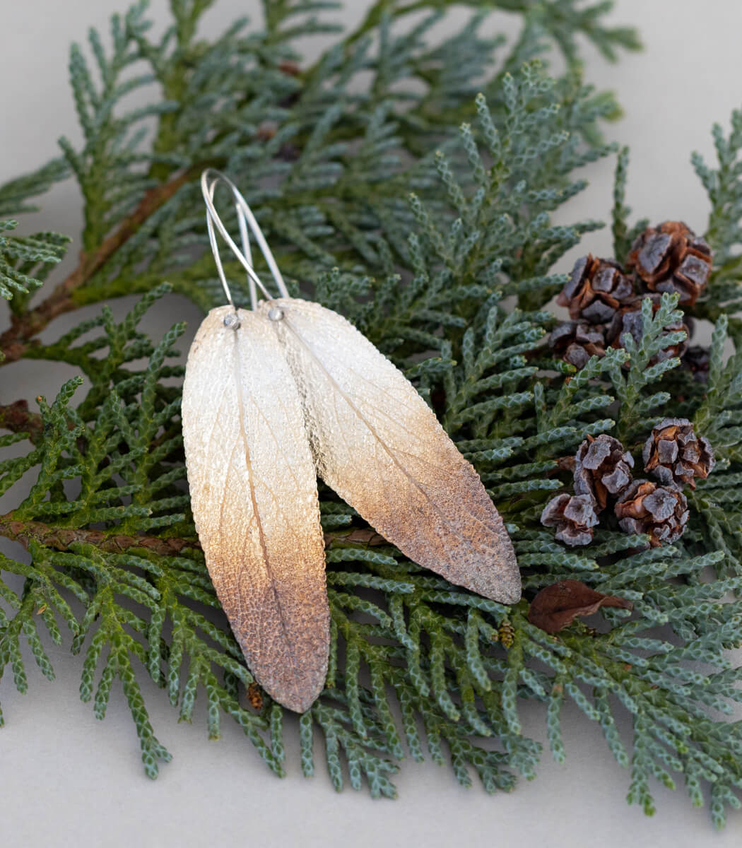 Salbeiblatt Ring und Ohrhänger für Maura Hauf