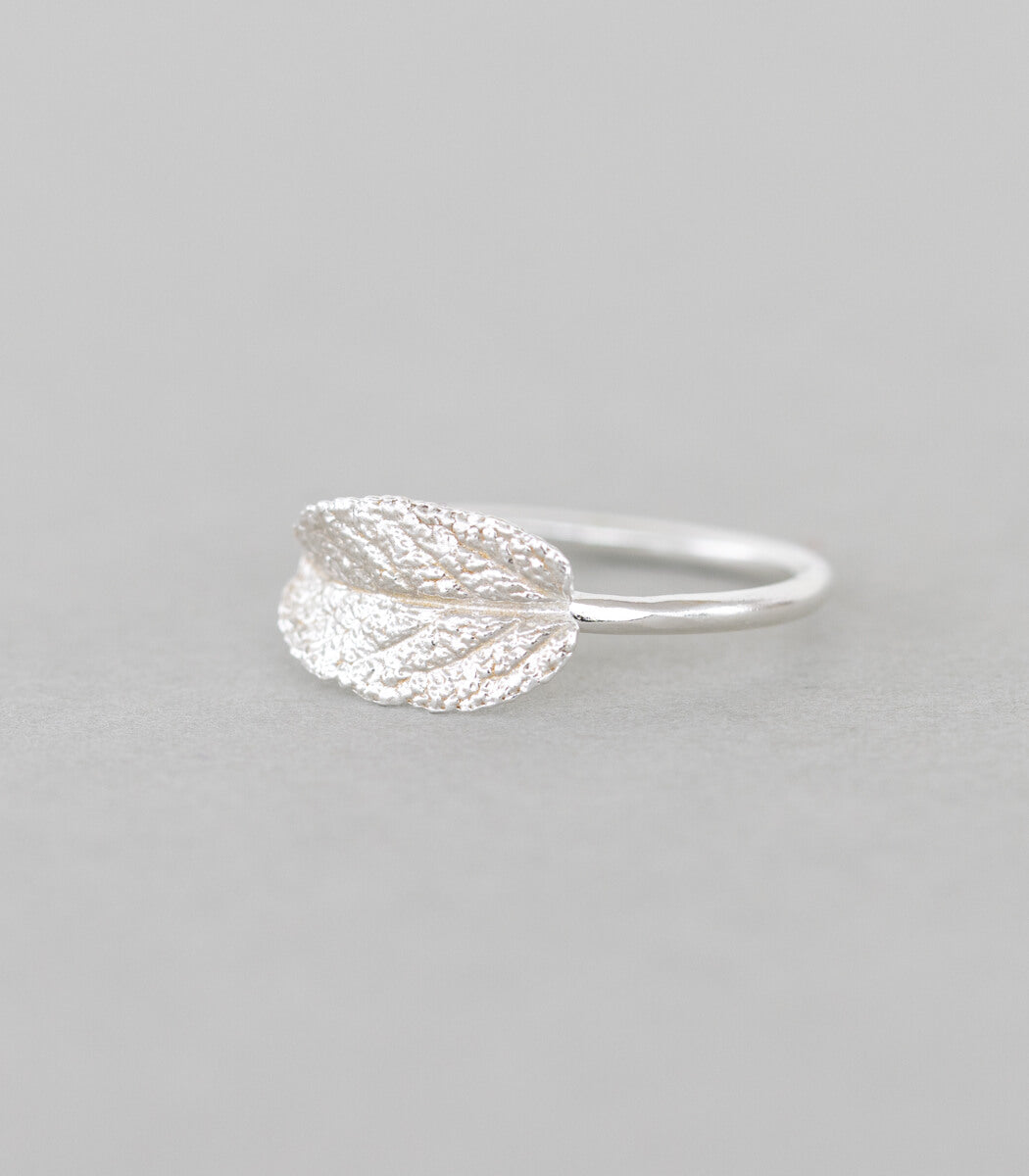 Salbeiblatt Ring Silber Gr. 53