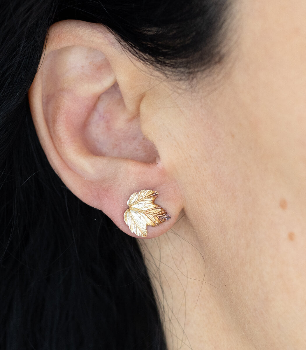 Ahorn Ohrstecker Silber