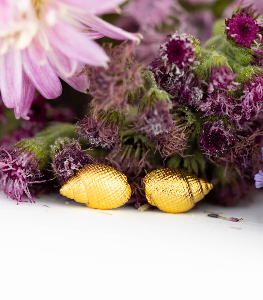 Gold Ohrstecker Schnecken
