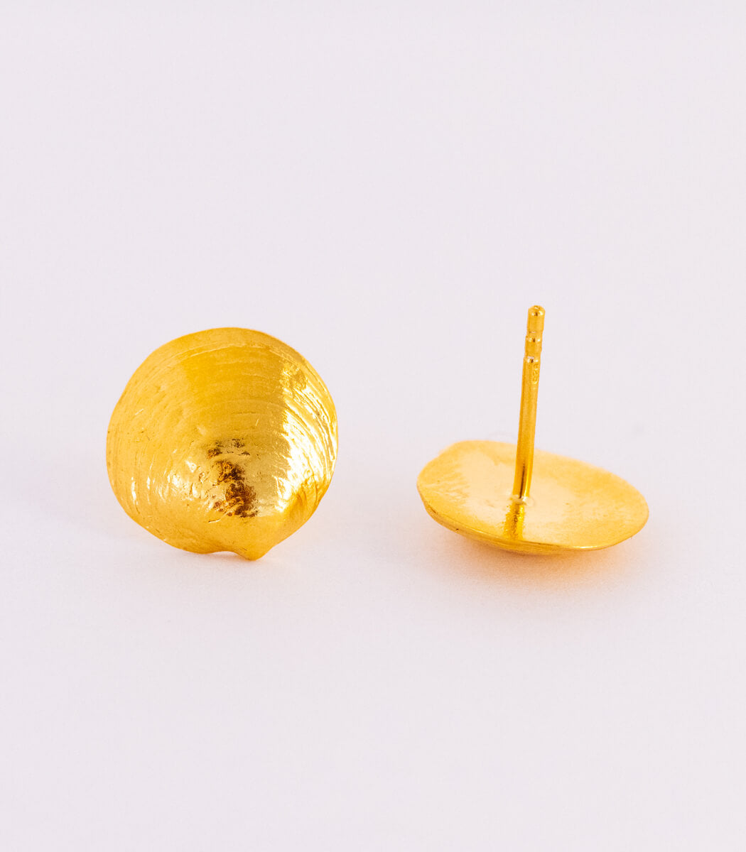 Gold Ohrstecker Muschel