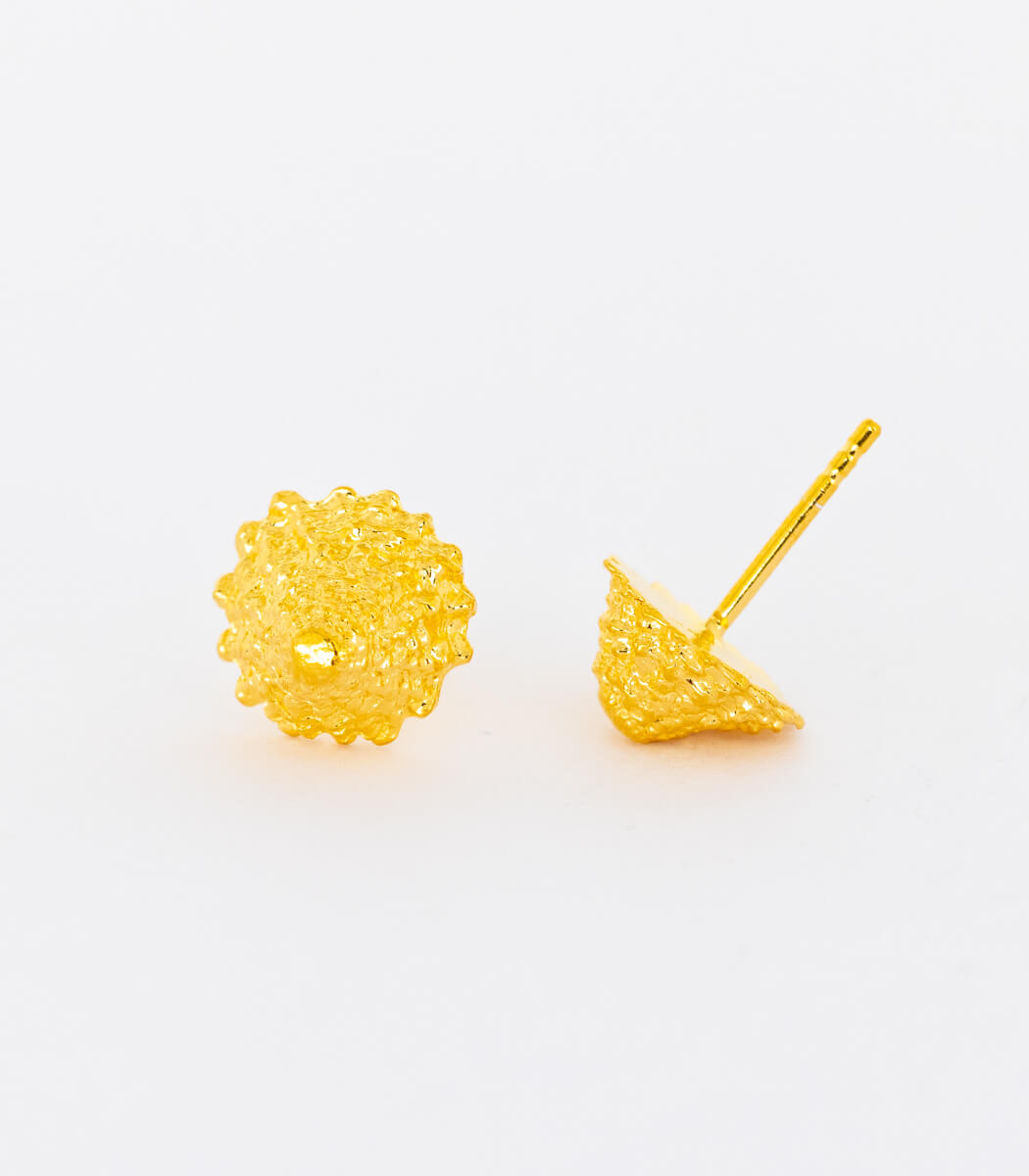 Gold Ohrstecker Schnecken
