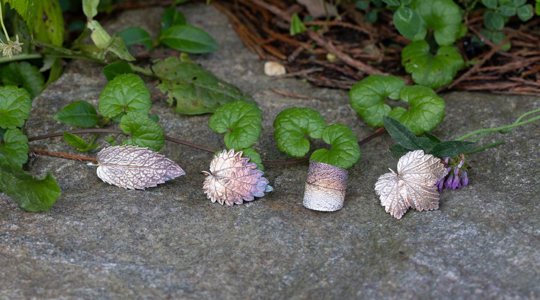 Mein Kräutergarten - ein Reise durch die Pflanzenwelt in meinem Garten