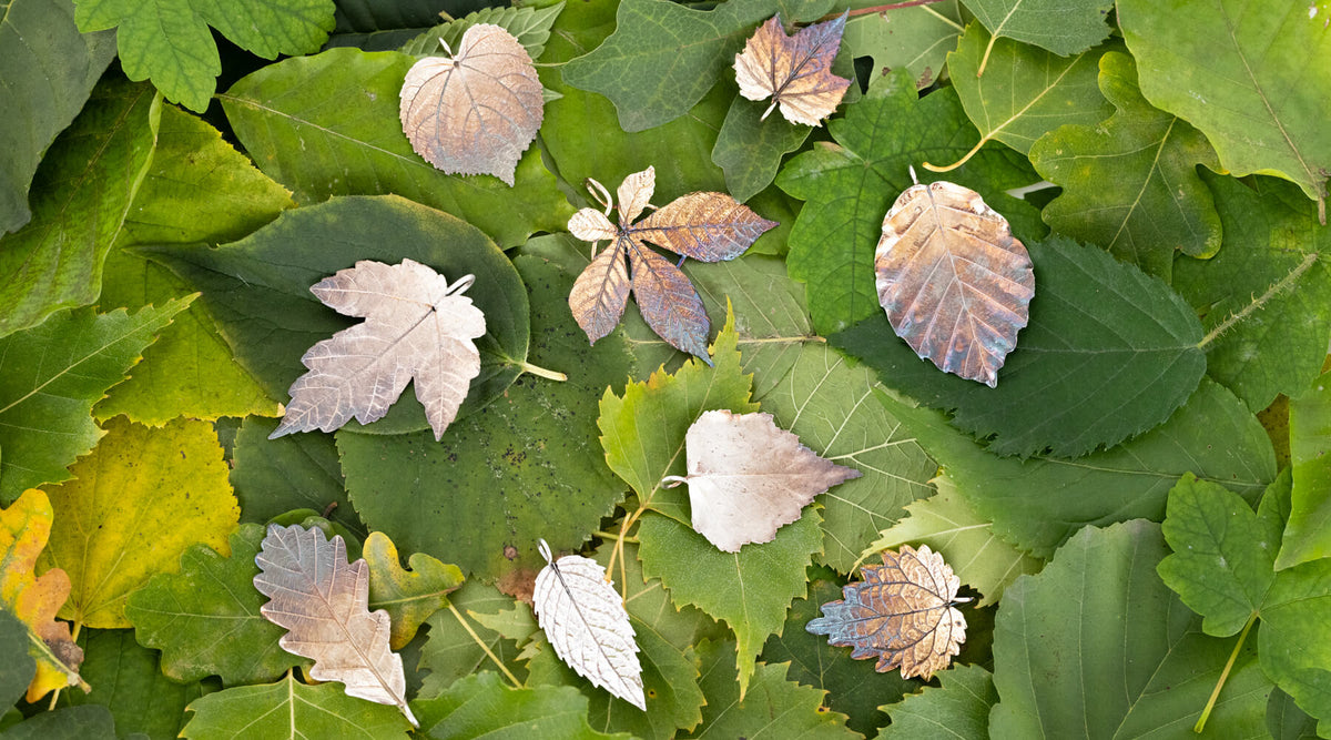 efeutute dekorieren Goldene Efeutute (Epipremnum aureum) kaufen main image 1
