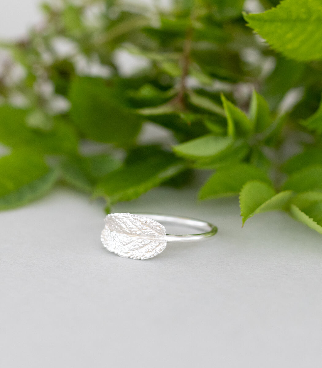Salbeiblatt Ring Silber Gr. 53