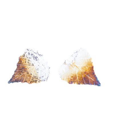 Birch Stud Earrings Silver