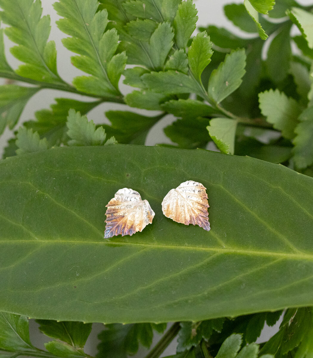 Birke Ohrstecker Silber