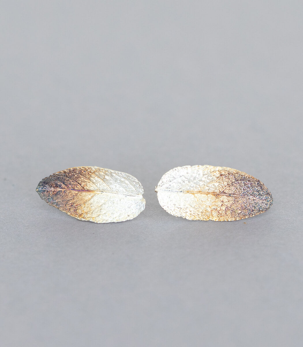 Salbeiblatt Ohrstecker Silber, Gesamtansicht, handgefertigter Naturschmuck – goodrun