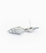 Silber Ohrstecker Schnecken
