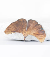 Silber Anhänger Ginkgoblatt