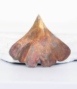 Silber Anhänger Ginkgoblatt