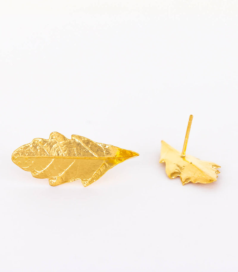 Gold Ohrstecker Eichenblatt