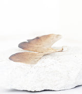 Ginkgo Anhänger Silber	