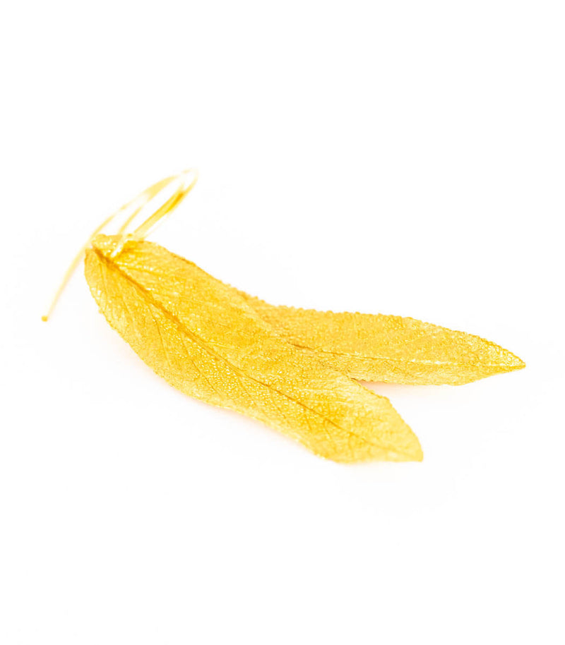 Gold Ohrhänger Salbeiblatt