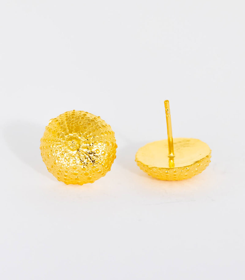 Gold Ohrstecker Seeigel