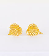 Gold Ohrstecker Birke