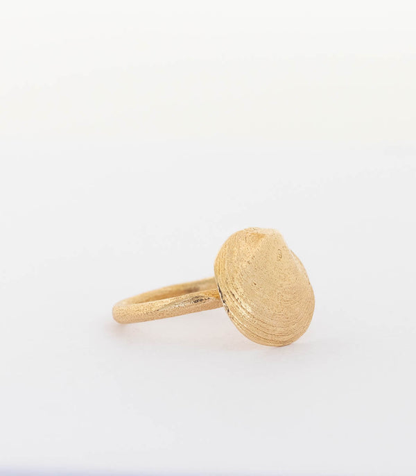 Bronze Ring Muschel Gr.54