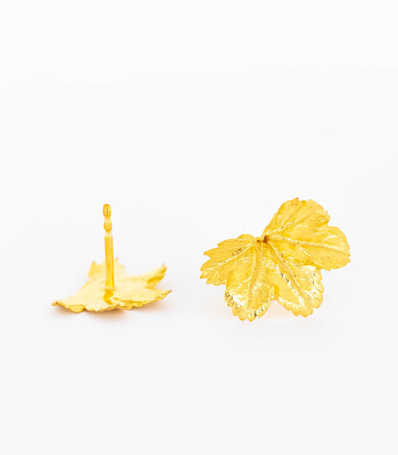 Gold Ohrstecker Frauenmantel