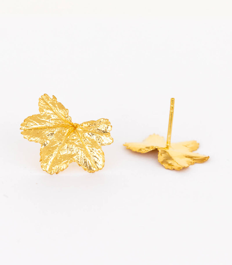 Gold Ohrstecker Frauenmantel
