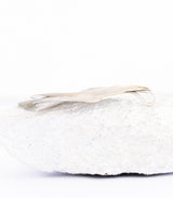 Silber Anhänger Ginkgoblatt
