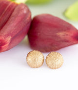 Bronze Ohrstecker Seeigel